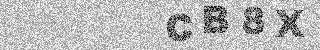 الرمز الأمني