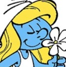 صورة العضو الرمزية